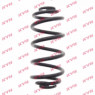 KYB RJ6653 - Coil Spring (Rear)