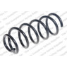 Neox SP9015 - Coil Spring (Rear)